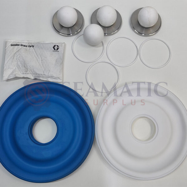 Graco 24K905 – REPLACEMENT KIT, PTFE 2PC DIA., 3300