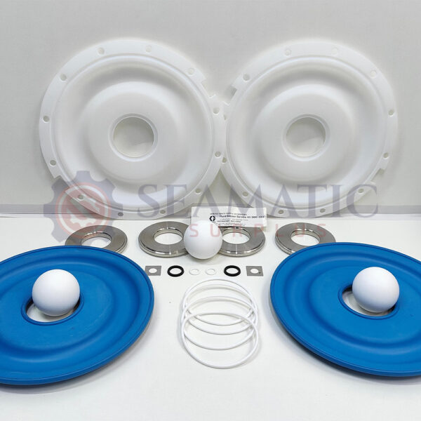 Graco D0K311 SERVICE KIT 3275, SS, PTFE, PTFE